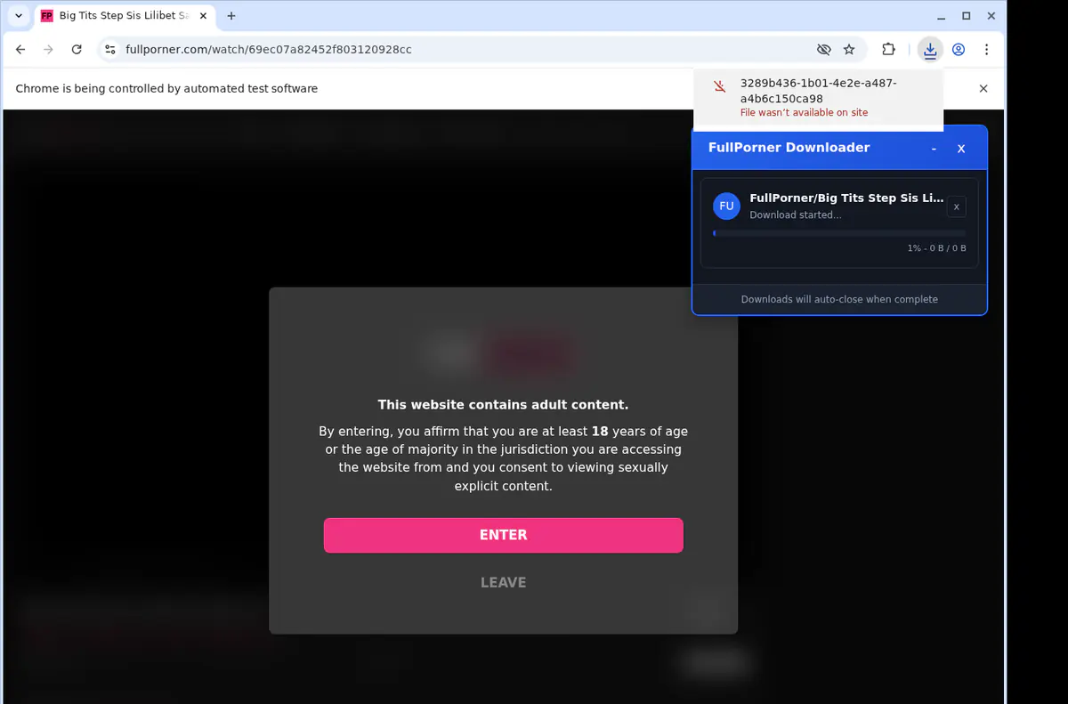 Fullporner Video Downloader screenshot 2