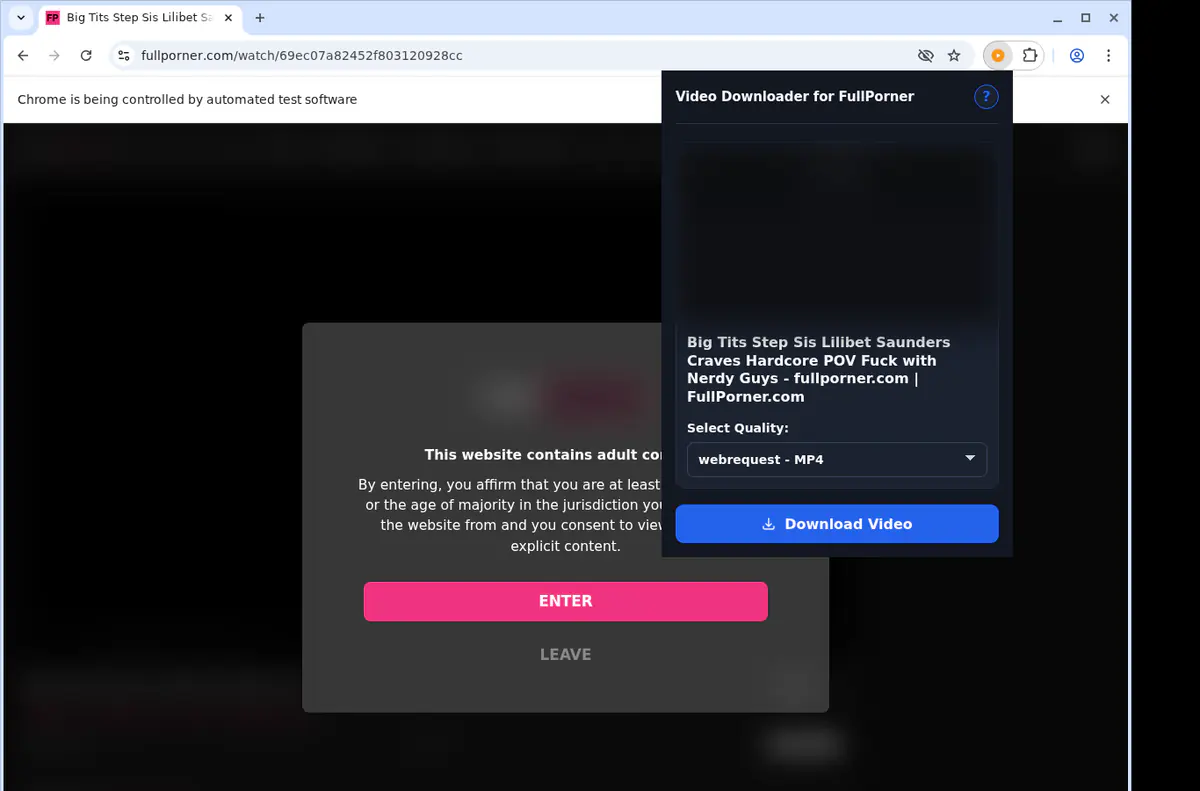 Fullporner Video Downloader screenshot 3